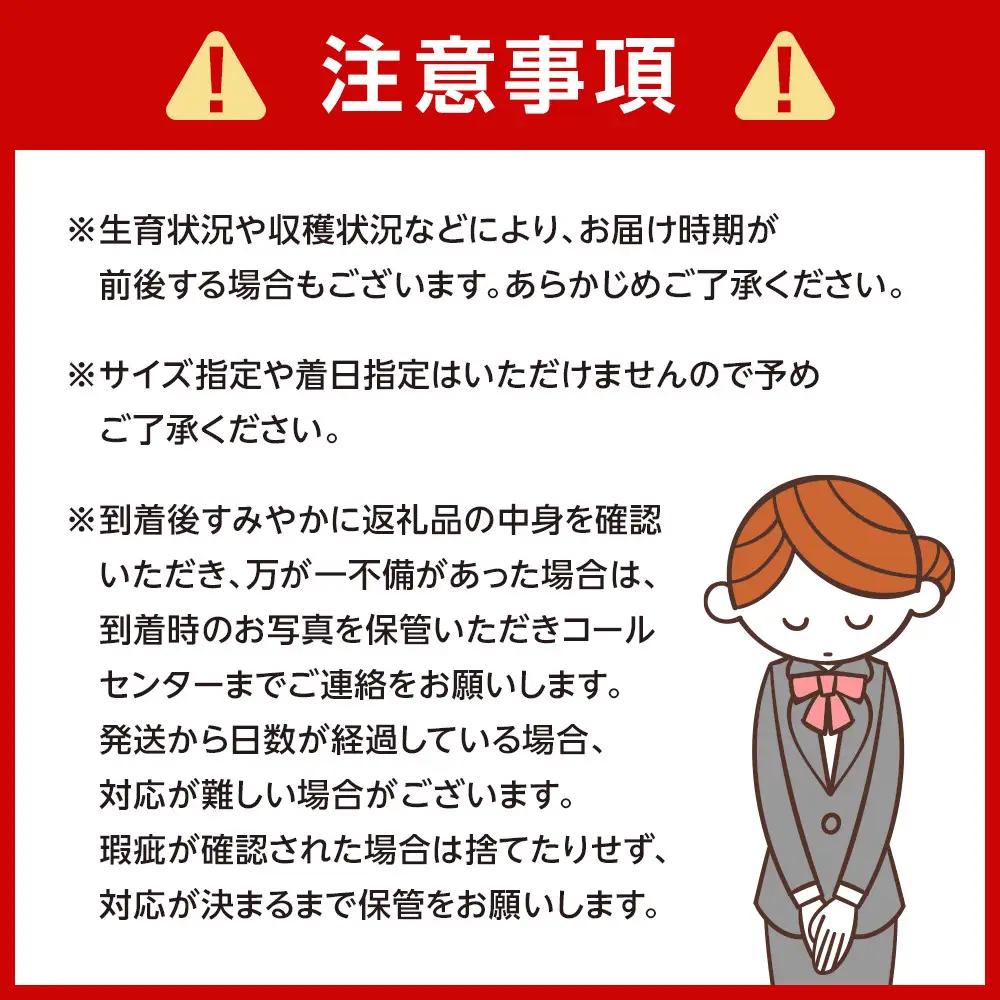 みかん ご家庭用 有田みかん 約2kg 2S～Lサイズ 混合