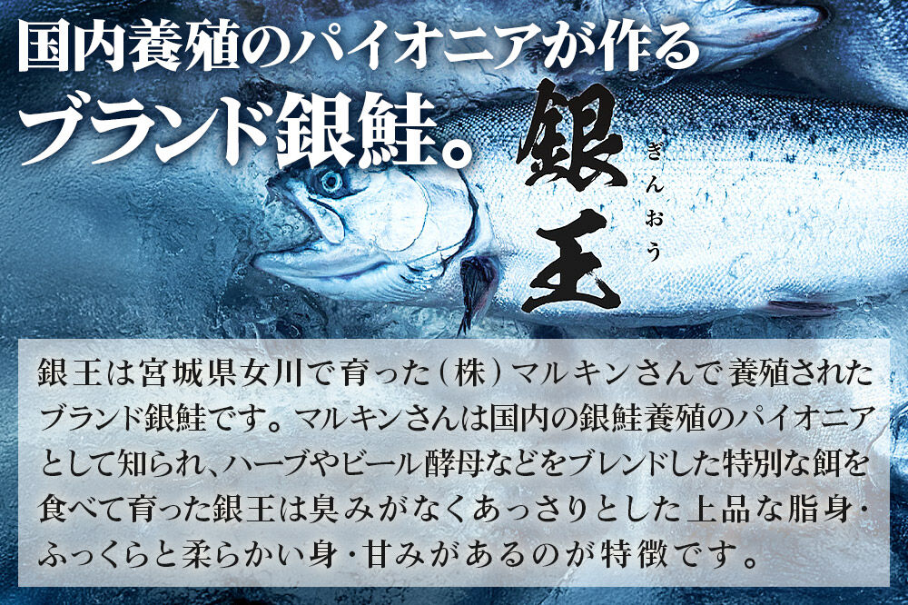 銀鮭 骨取切り身 約30g×20枚 計600g  センシン食品 [宮城県産 銀鮭 さけ サケ 骨取切り身 無塩 センシン食品]