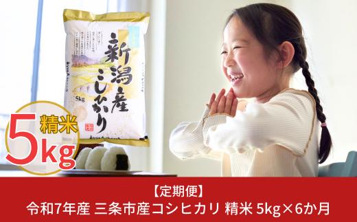 [定期便5kg×6か月] 新潟県三条市産コシヒカリ 計30kg 令和7年産 こしひかり 6か月連続でお届け [株式会社白熊]【038S007】