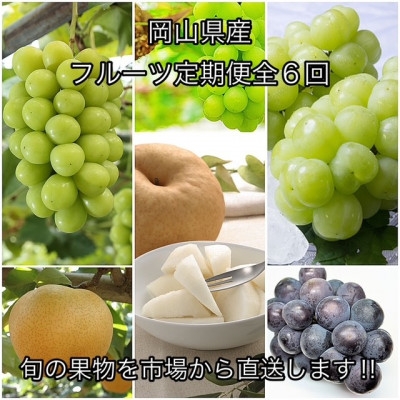 
                  【発送月固定定期便】岡山県産  フルーツ定期便全6回_フルーツ 定期便 旬 果物 食べ比べ 岡山県 津山市 デザート 葡萄 ぶどう シャインマスカット 送料無料 贈答 ギフト【4078577】
                