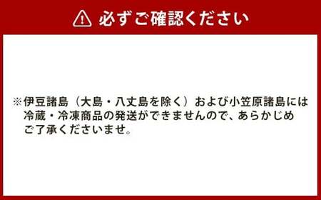 【全6回定期便】《具材付》長崎冷凍皿うどん 総計60食 (10食×6回) ／ 長崎皿うどん 皿うどん 麺 麺類 あんかけ 具付き ひふみ 長崎県 長崎市