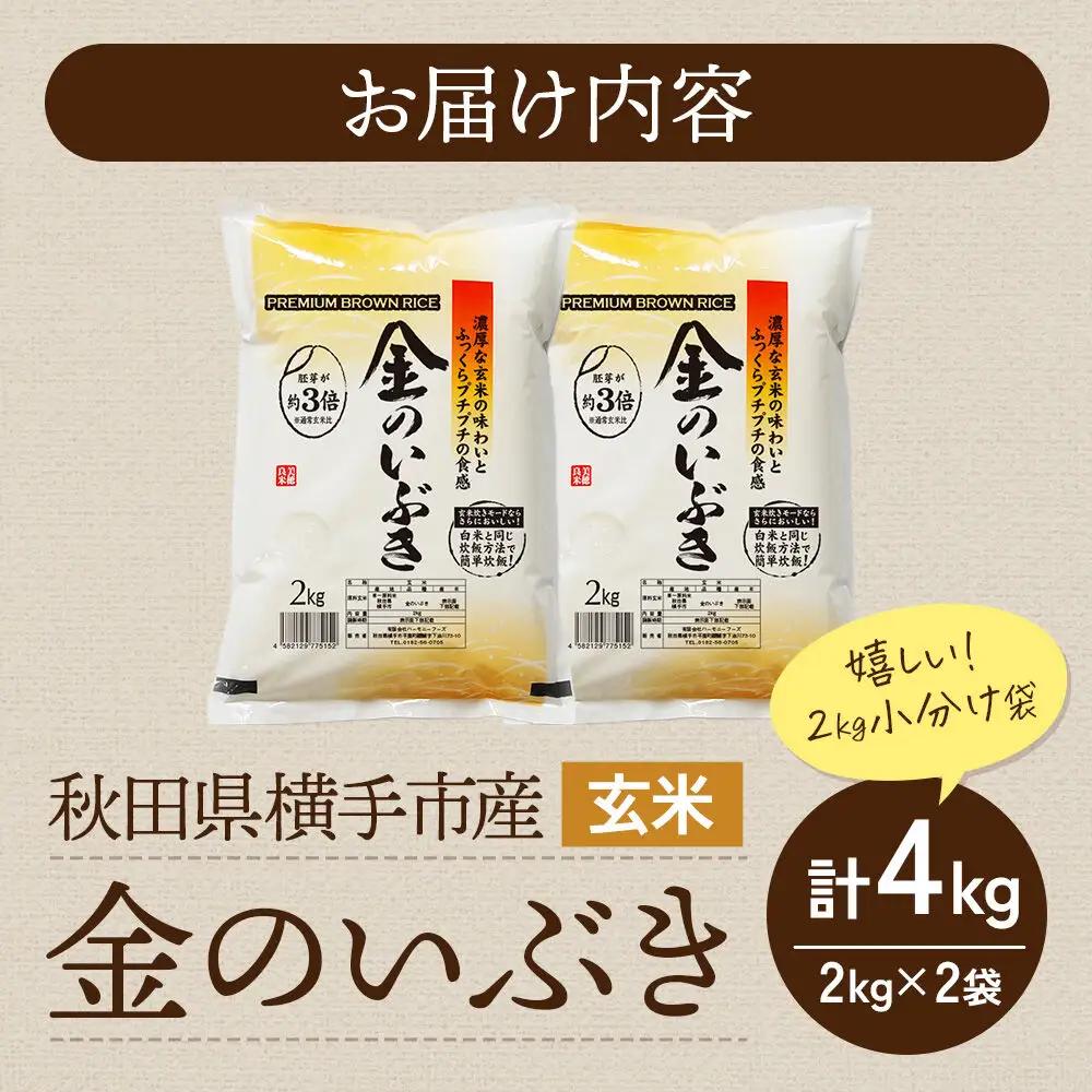 【玄米】米 金のいぶき 4kg(2kg×2袋) 令和7年産