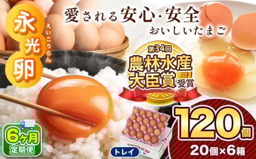 【 定期便 6回 】メディア紹介多数！ 永光卵 120個 卵 たまご 選べる 個数 回数 トレイ タイプ | 送料無料 えいこうらん 光永ファーム みつなが オムレツ たまかけごはん おいしい卵 ゆうパック 君津市 きみつ 千葉県