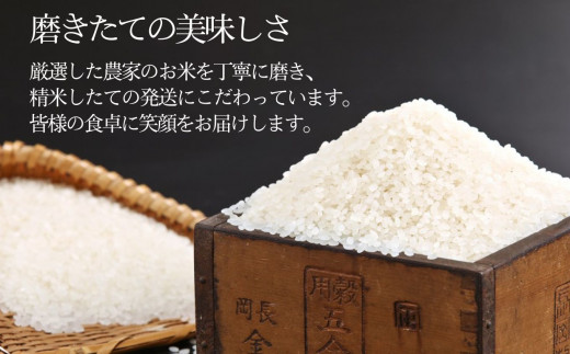 【令和8年産新米】新潟県産 新之助 5kg×12回 60kg 糸魚川産 白米 2026年産 木島米穀店【米 お米 ご飯 ライス ふるさと納税米 ブランド米 しんのすけ 食品 おすすめ 人気 新潟県 糸