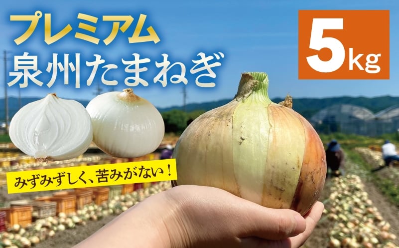 
            【チョイス限定】プレミアム たまねぎ 5kg【泉州 玉ねぎ タマネギ 玉葱 甘い 野菜 国産 オニオン サラダ カレー バーベキュー 先行予約】
          