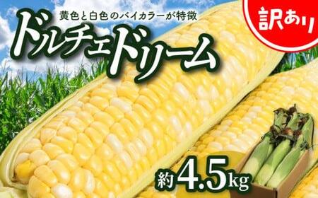 ＼寄附額改定／訳あり ご家庭用ドルチェドリーム 約4.5kg【2025-6月上旬～2025-7月上旬配送】