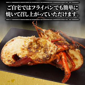 （冷凍） 簡単調理 伊勢海老 1.3kg ハーフカット 処理済み イセエビ 海老 えび 伊勢 エビ 伊勢エビ 海宝水産 贅沢 高級 簡単調理 バーベキュー BBQ 鉄板焼 海鮮 ギフト 国産 三重県 