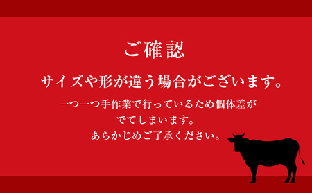  黒毛和牛 天塩和牛 ヒレ 約150g×2枚 (計約300g) ＜早坂ファーム＞肉 牛肉 フィレ ステーキ 北海道産 国産