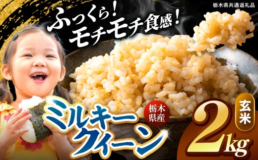 【先行予約】 訳あり 令和8年度産 玄米 約2kg ミルキークイーン | 真岡市産 米 お米 こめ 玄米 ご飯 ごはん もちもち ミルキークイーン 限定 ふるさと納税  栃木県 真岡市 送料無料