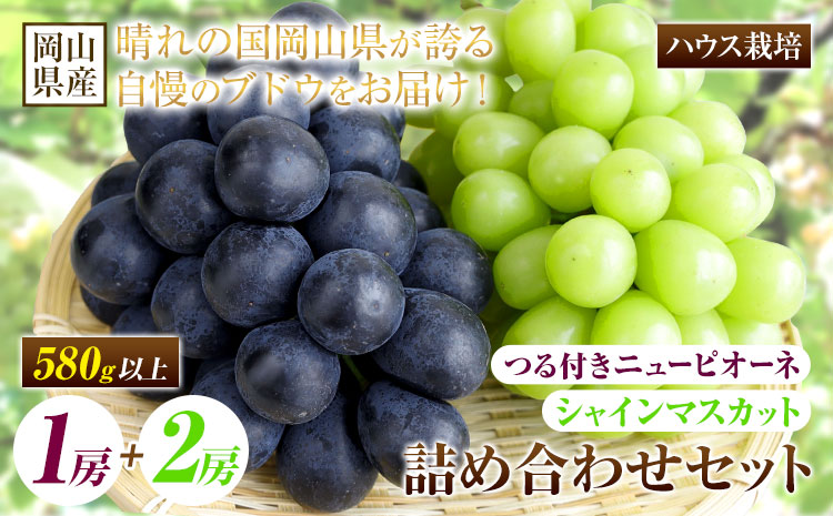 【先行予約】 岡山県産 つる付き！ニューピオーネ 1房 580g & シャインマスカット 2房 1房あたり580g セット ハウス栽培【配送不可地域あり】ニューピオーネ シャインマスカット《7月上旬-8月末頃に出荷予定(土日祝除く)》 岡山県 矢掛町 晴王 ぶどう 詰め合わせ 果物---osy_chbf37_af7_25_41000_b---