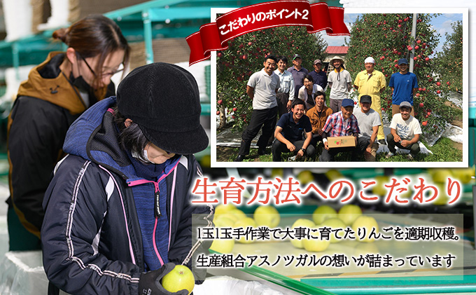 りんご 【10月～12月発送 りんご定期便 】糖度13度以上 贈答用 葉とらずりんご 約 5kg × 3回 贈答用コース【 弘前市産 青森りんご 】