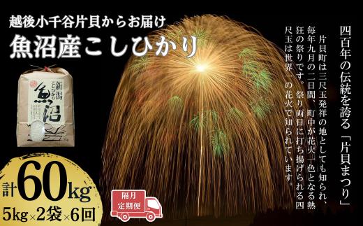 【令和7年産 新米予約 定期便】魚沼産コシヒカリ 計60kg(5kg×2袋×隔月全6回） 白米 精米 新潟県産 米萬 | 新潟県産 コシヒカリ お米 米 こしひかり 魚沼産 ブランド米【0002-KM08DB00-02】
