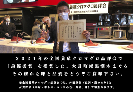 【高知県大月町産 本マグロ】 大トロ150g