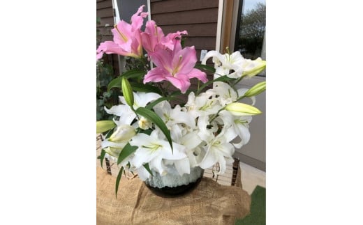 生産者直送】高レビュー5.0 幸せと笑顔を届けるオリエンタルリリィ ユリ 百合 花 切り花 フラワー 艶やか 美しい 華やか 可憐 鮮やか 長持ち 強い 有機肥料 自然 人気 ラッピング プレゼント 