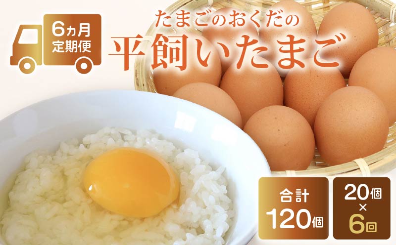【定期便6回】 平飼い卵 20個入り たまご 卵 タマゴ 鶏卵