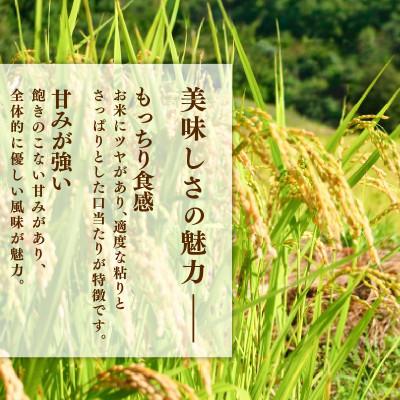 ふるさと納税 大船渡市 ひとめぼれ10kg×1袋[owada009_1] |  | 01