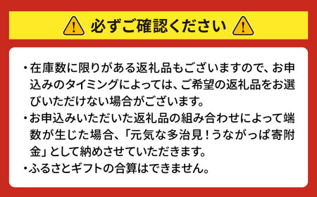 【あとから選べる】 岐阜県多治見市ふるさとギフト 3万円分  飛騨牛 日本酒 スイーツ 美濃焼 あとから ギフト[TDA029]