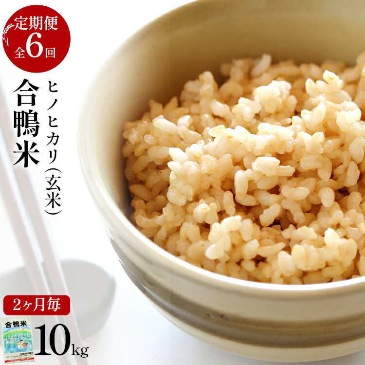 【ふるさと納税】令和7年産 新米予約 合鴨米「ヒノヒカリ」（玄米・10kg）定期便6回コース 数量限定 ※令和7年10月スタートの定期便 BI05