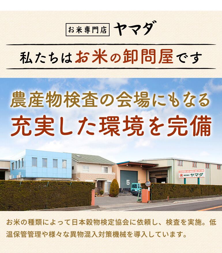 【令和7年産含む 】近江ブレンド米 5kg愛荘町産 白米 精米 米 お米 単一原料米 ブランド米 銘柄米 国産 ご飯 白飯 ゴハン 食品 支援 支援品 生活支援 生活応援 送料無料 AY001