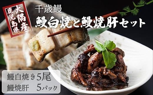 
鹿児島県大隅産 千歳鰻の白焼き鰻 5尾・鰻焼肝セット｜国産 うなぎ 鰻
