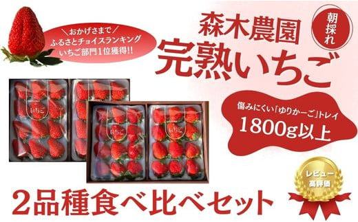 060-5　最高の贅沢を・・・紅ほっぺ(900g)or おいＣベリー（900g)orきらぴ香（900g）のどれか2品種　合計1800g【常温発送】