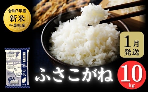 《 1月発送分・令和7年産 新米 》千葉県神崎町産 ふさこがね 10kg（5kg×2袋）｜早場米産地の新米を食卓へ｜数量限定【精米 米 お米 新米 白米 ご飯 白ごはん 弁当 10キロ】[025-a003-202601]