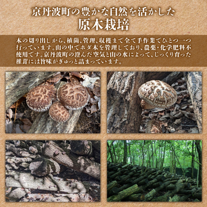 原木栽培 乾燥しいたけ 100g×2袋 計200g 原木 シイタケ しいたけ 椎茸 肉厚 芳醇 香り豊かなしいたけ 国産しいたけ 京都府産しいたけ 京丹波町産しいたけ きのこ 小分け うま味 おいしい