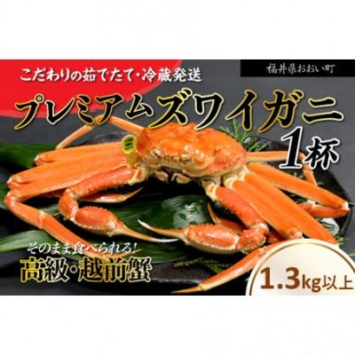 ふるさと納税 おおい町 【2026年11月より順次発送】越前ガニ1.3kg以上 濃厚な味噌と身が詰まったズワイガニをお届け
