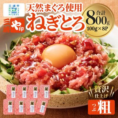 ふるさと納税 三浦市 【三崎港直送!】天然三崎まぐろ　本格ねぎとろ(大鉢まぐろ使用)
