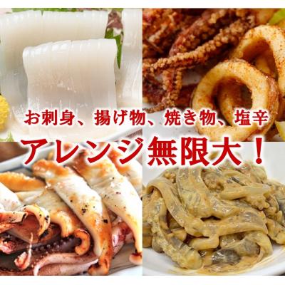 ふるさと納税 普代村 三陸水産 冷凍スルメイカ 約2kg (1kg×2袋) いか |  | 02