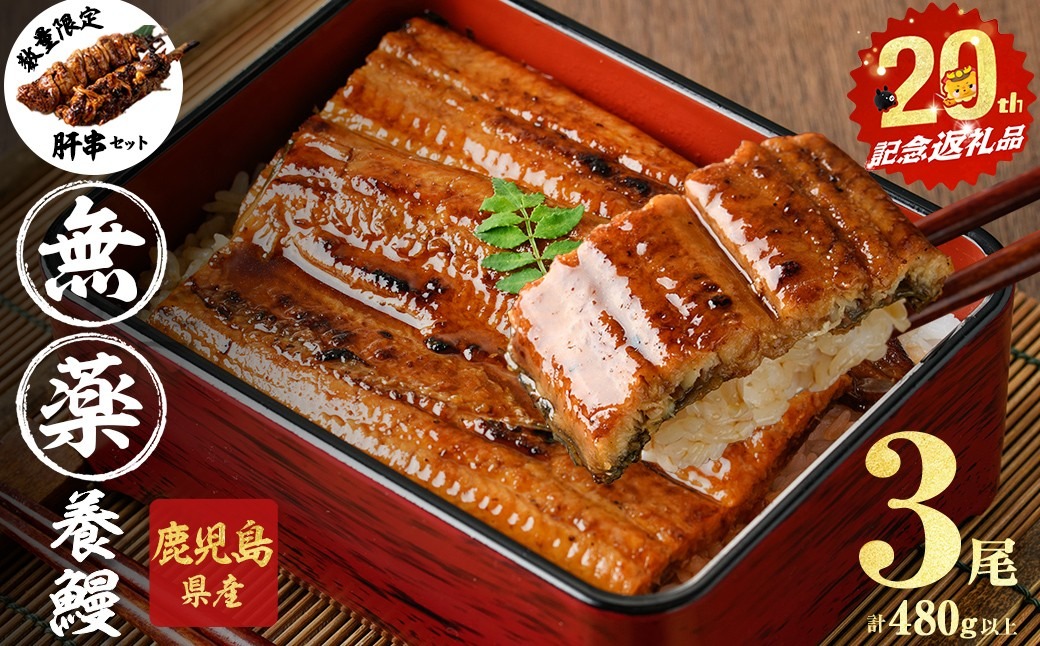 【3月末までに配送】【無薬養鰻】 鹿児島産 山田のうなぎ ＜計480g以上＞（160g以上×3尾） 肝串セット 【ポータル限定】 a6-062-km-03