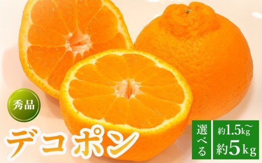 
                  先行予約 デコポン 約1.5kg 約5kg  果物 フルーツ デコポン 不知火 みかん 蜜柑 柑橘 デザート スイーツ ケーキ ジュース ゼリー アイス シャーベット ジェラート ギフト 家庭用 旬の果物 旬 お取り寄せ グルメ 人気 おすすめ 香川県 丸亀市 出荷：2027年3月～
                