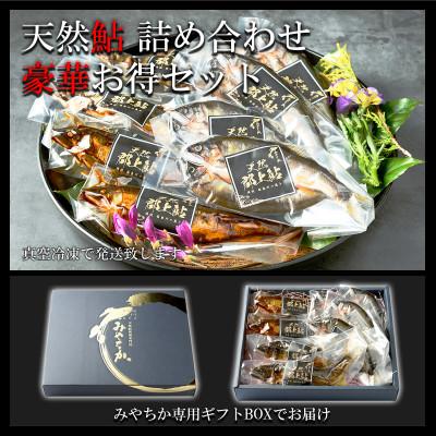 ふるさと納税 郡上市 天然鮎専門店みやちかの【天然鮎詰め合わせ】長良川郡上鮎 |  | 02