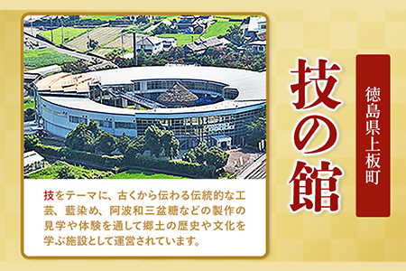 藍染体験 一般社団法人ジャパンブルー上板 《30日以内順次出荷(土日祝除く)》