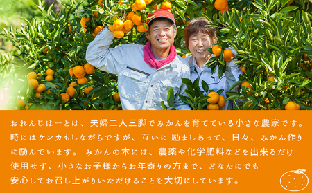 ＜温州みかん 約10kg＞ 柑橘 みかん ミカン 蜜柑 果物 くだもの フルーツ オレンジ うんしゅうみかん 国産 愛媛県産 特産品 おれんじはーと 食べて応援 西宇和 愛媛県 西予市 【常温】『20