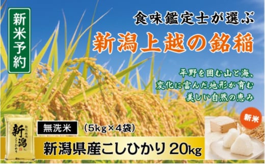 令和7年産 先行予約 食味鑑定士厳選 新潟県産こしひかり 無洗米 20kg 上越市 米 コメ コシヒカリ