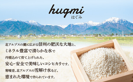  【新米】★数量限定★　令和７年産　長野県産コシヒカリ　5kg | 米 コシヒカリ 長野 信州 大町