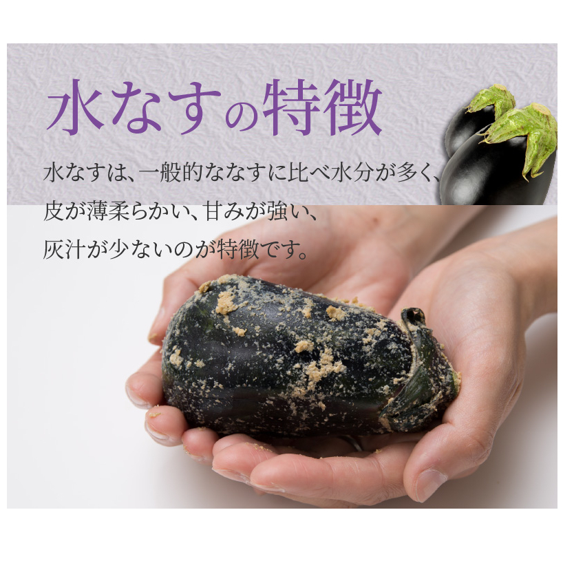 特選水なす浅漬け 5個入り【新鮮 野菜 泉佐野産 茄子 やさい 高評価 数量限定】 010B1648