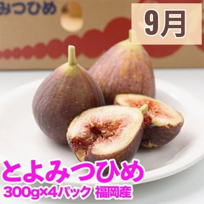 【発送月固定定期便】旬の福岡フルーツ定期便　とよみつひめ・甘うぃ・春あまおう(宇美町)全3回【配送不可地域：離島・北海道・沖縄県・東北】