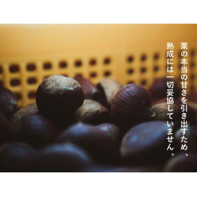 ふるさと納税 つくばみらい市 庄七農園限定　氷蔵熟成焼き和栗 (500g) |  | 03