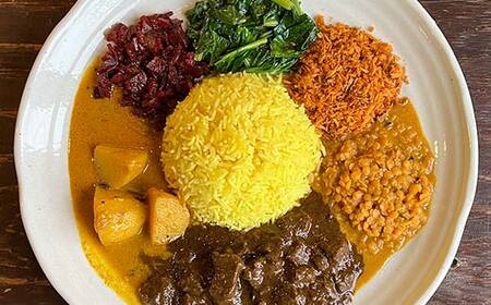 【3ヶ月連続定期便】ひだまり薬膳スパイスカレー 4個 冷凍 薬膳 スパイスカレー カレー スパイス デトックス 保存食 ジビエ 低糖質 ターメリックライス F4F-4366