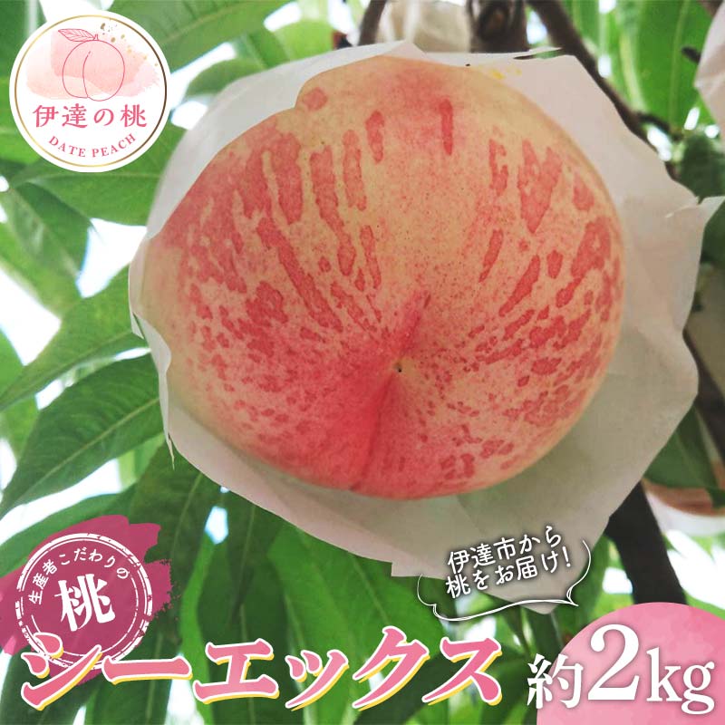【ふるさと納税】【2026年出荷分先行予約】福島県産 シーエックス 約2kg (5～6玉) 大橋ふぁーむ 大玉 固め 伊達の桃 桃 フルーツ 果物 もも モモ momo F20C-782