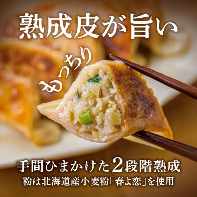 ふるさと納税 千歳市 北海道餃子天のびろく　3種セット(オリジナル・とかちマッシュ・プレミアム) |  | 01