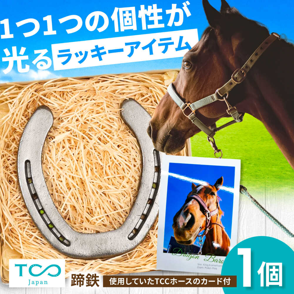 【ふるさと納税】TCCホースシュー 世界に一つだけの蹄鉄 / 引退馬 引退競走馬 支援 競馬 馬 競走馬 グッズ インテリア 幸運 お守り うま ウマ ホース 馬グッズ 競馬グッズ 蹄鉄 馬蹄 / 栗東市 / 株式会社TCC Japan[BIAV003]