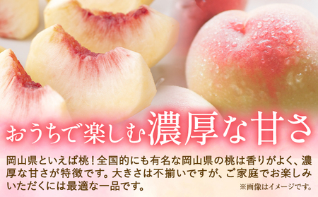 ご家庭用 おかやまの桃 約1.8kg　白桃