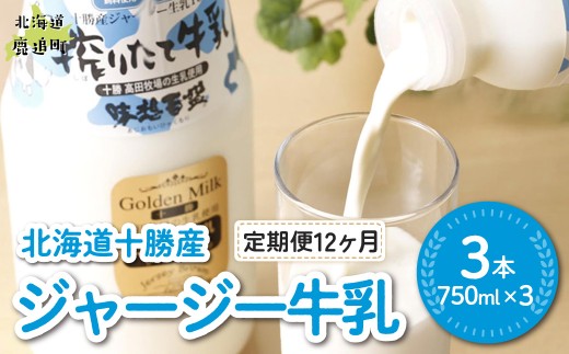 【定期12ヶ月】ジャージー牛乳 750ml ×3 【ふるさと納税 人気 おすすめ ランキング ジャージー牛乳 高級 ブランド 高田牧場 定期便 北海道 十勝 鹿追町 送料無料】 SKM049
