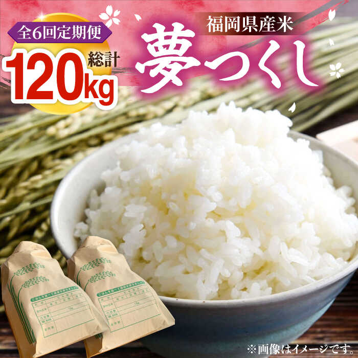 【ふるさと納税】【全6回定期便】【R8年産】 新米 福岡県産 夢つくし 20kg ( 10kg ×2袋)《豊前市》【湯越農園】[VBC015] 令和8年 先行予約 米 お米 精米 白米 ブランド米 国産 ごはん ご飯 コスパ おすすめ ゆめつくし 10キロ 20キロ 定期便 6回