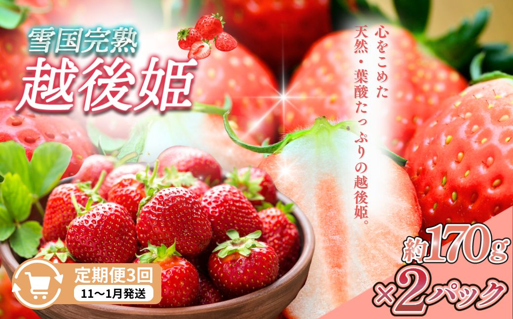 
                  先行予約  定期便 3回【11～1月発送】いちごの定期配送 雪国完熟いちご越後姫170g×2全3回 越後姫 いちご 定期便 完熟 苺の花ことば
                