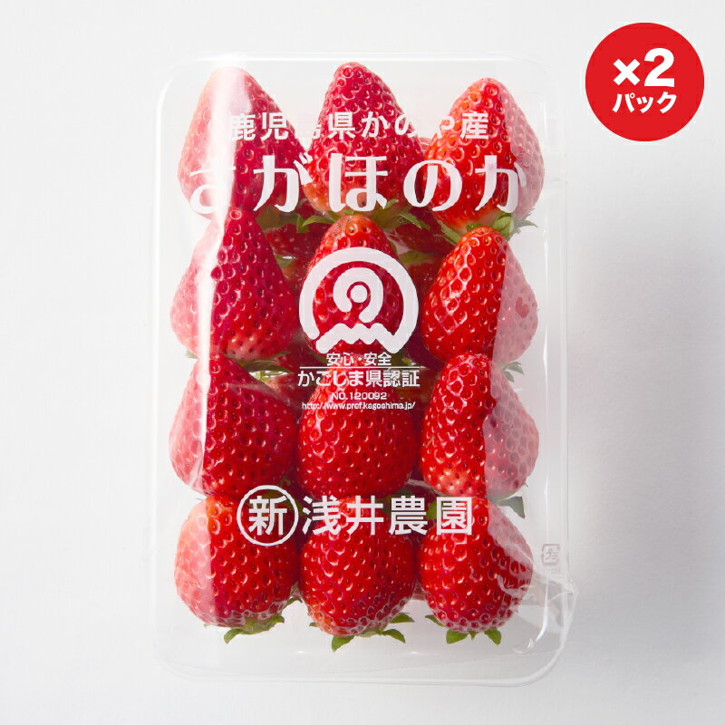 【ふるさと納税】【期間限定】K-GAP取得 鹿児島県かのや産いちご さがほのか 計600g 300g×2パック いちご イチゴ 苺 ストロベリー さがほのか 国産 果物 フルーツ 旬 冷蔵 浅井農園 鹿児島 鹿屋市 おすすめ ランキング プレゼント ギフト