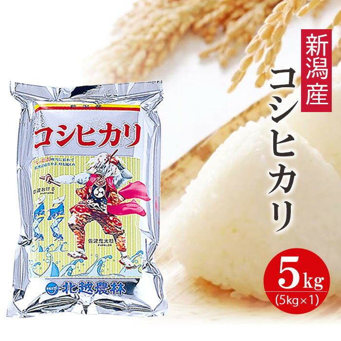 【ふるさと納税】〈令和7年産 新米〉新潟産コシヒカリ 5kg 精米 白米 | 新潟県 お米 5kg こしひかり 精米